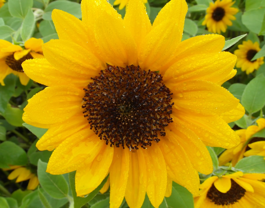 image01